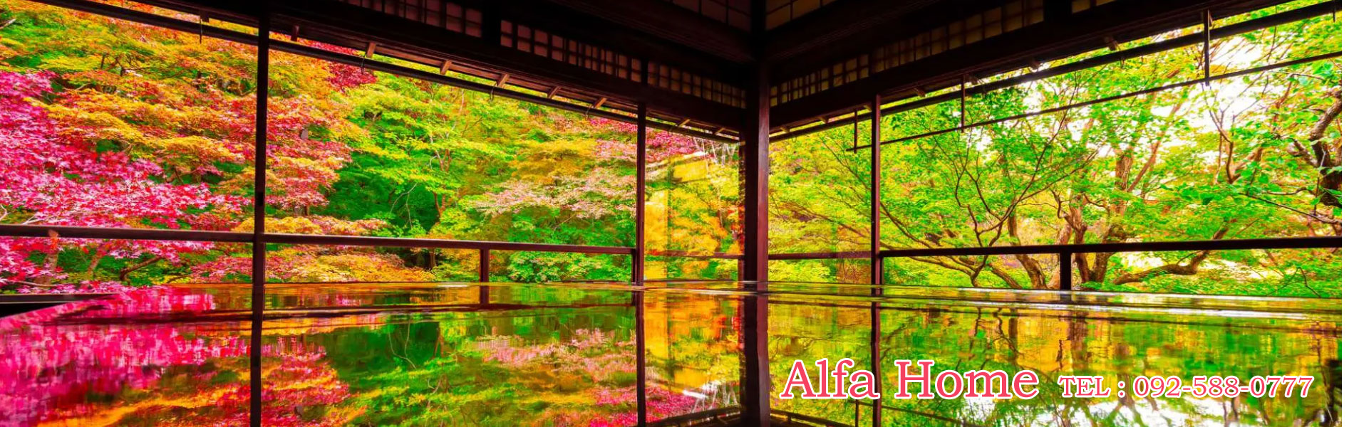 有限会社アルファーホーム