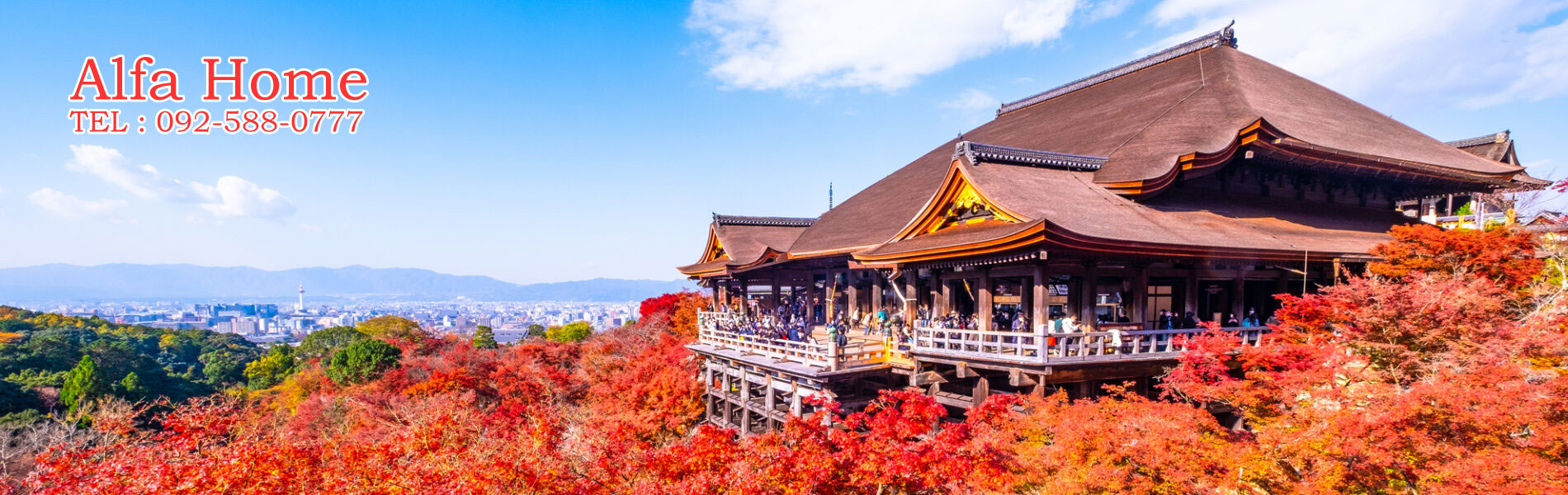 有限会社アルファーホーム