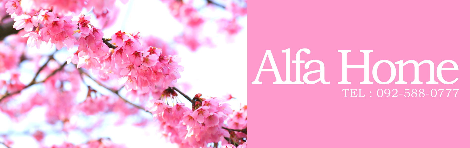 有限会社アルファーホーム