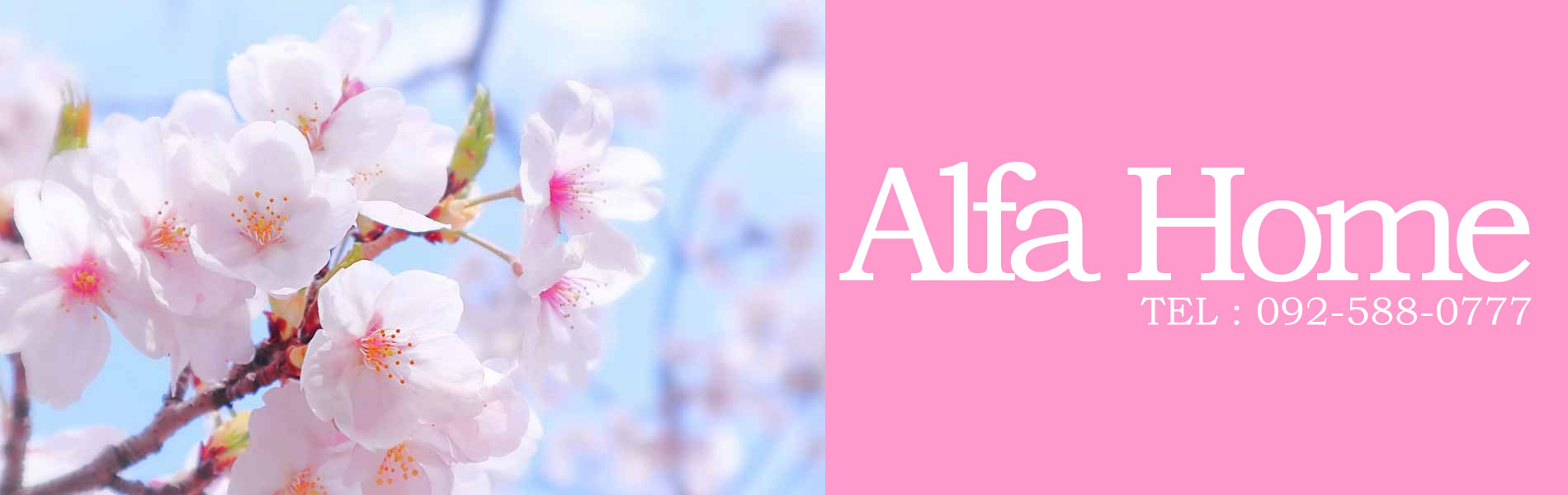 有限会社アルファーホーム