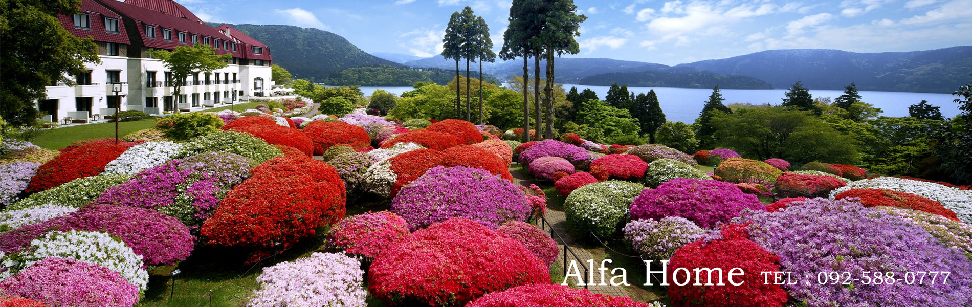 有限会社アルファーホーム