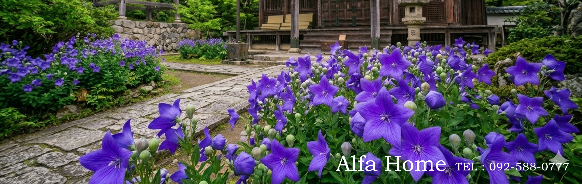 有限会社アルファーホーム